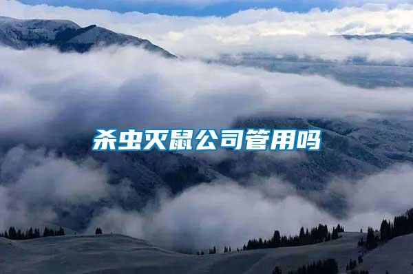 殺蟲(chóng)滅鼠公司管用嗎