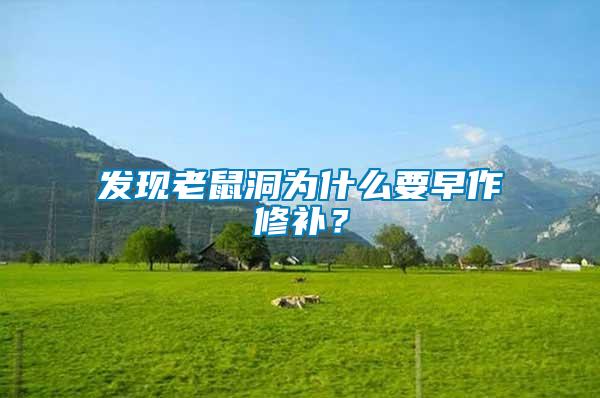 發(fā)現(xiàn)老鼠洞為什么要早作修補(bǔ)？