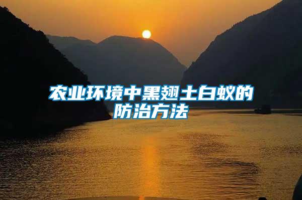 農業(yè)環(huán)境中黑翅土白蟻的防治方法