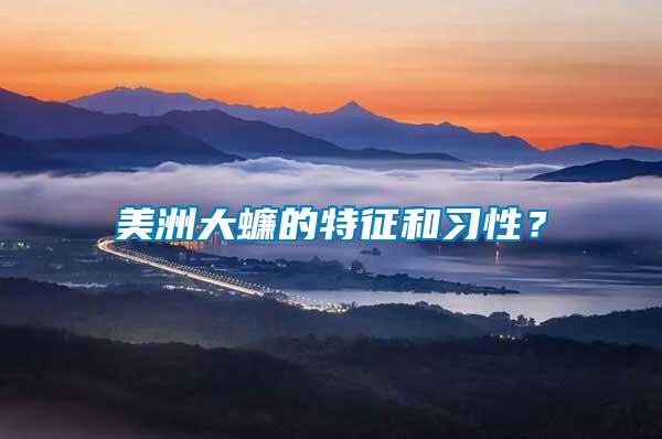 美洲大蠊的特征和習(xí)性？