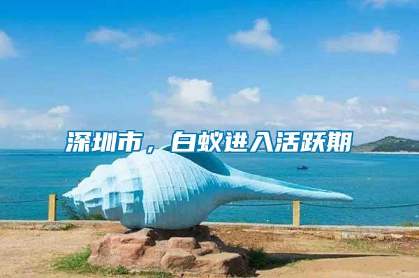 深圳市，白蟻進(jìn)入活躍期