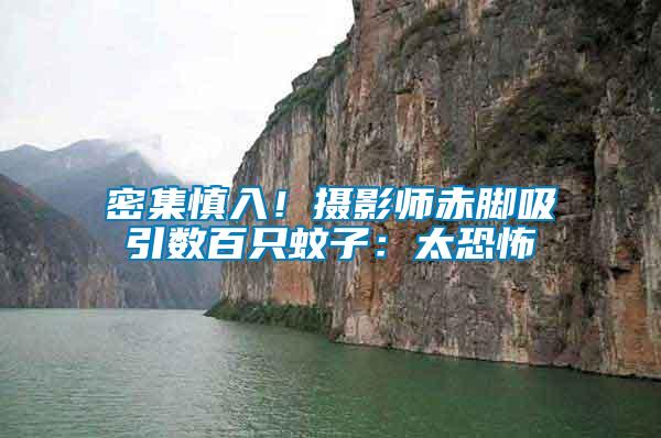 密集慎入！攝影師赤腳吸引數(shù)百只蚊子：太恐怖