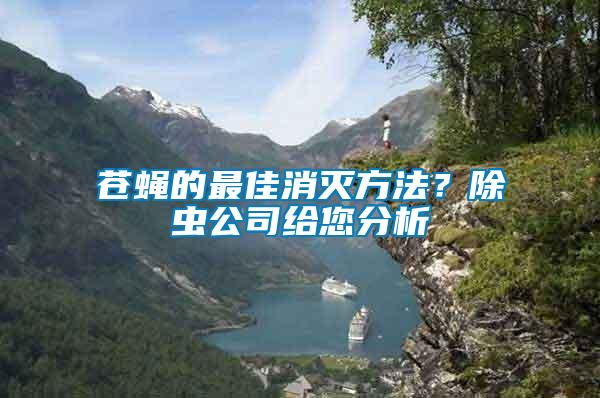 蒼蠅的最佳消滅方法？除蟲公司給您分析
