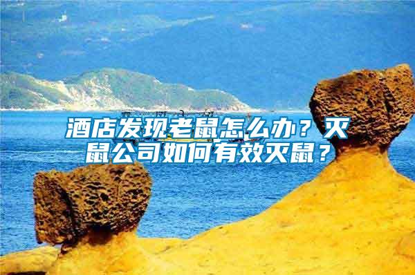 酒店發(fā)現(xiàn)老鼠怎么辦？滅鼠公司如何有效滅鼠？