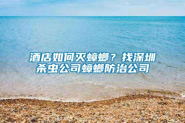 酒店如何滅蟑螂？找深圳殺蟲公司蟑螂防治公司