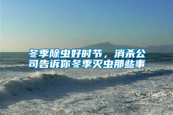 冬季除蟲好時(shí)節(jié)，消殺公司告訴你冬季滅蟲那些事