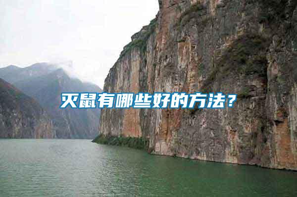 滅鼠有哪些好的方法？