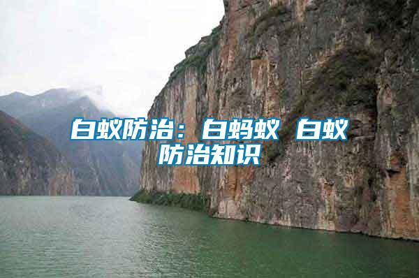 白蟻防治：白螞蟻 白蟻防治知識