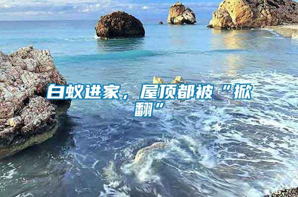 白蟻進(jìn)家，屋頂都被“掀翻”