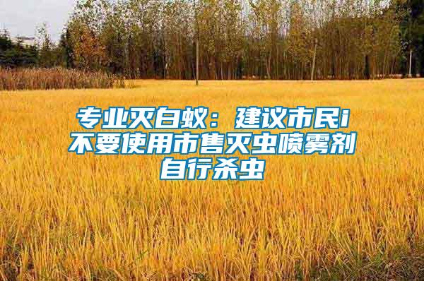 專業(yè)滅白蟻：建議市民i不要使用市售滅蟲(chóng)噴霧劑自行殺蟲(chóng)