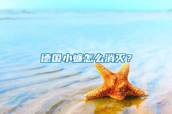 德國小蠊怎么消滅？