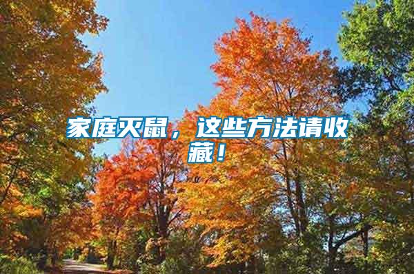 家庭滅鼠，這些方法請(qǐng)收藏！