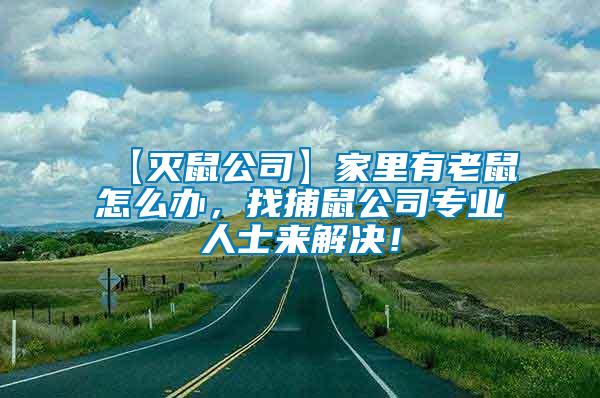 【滅鼠公司】家里有老鼠怎么辦，找捕鼠公司專業(yè)人士來解決！