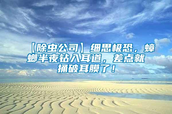 【除蟲公司】細(xì)思極恐，蟑螂半夜鉆入耳道，差點(diǎn)就捅破耳膜了！