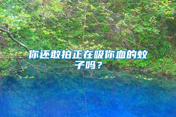 你還敢拍正在吸你血的蚊子嗎？
