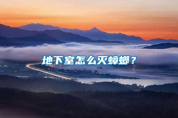 地下室怎么滅蟑螂？