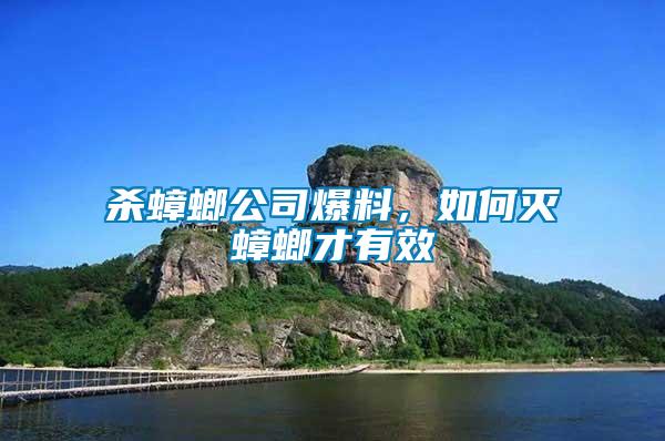 殺蟑螂公司爆料，如何滅蟑螂才有效