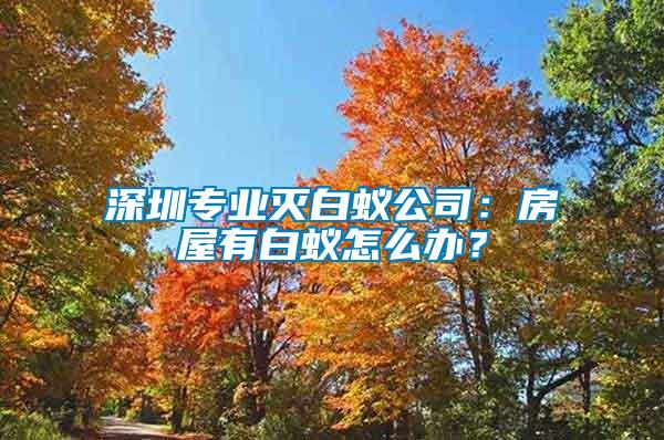 深圳專業(yè)滅白蟻公司：房屋有白蟻怎么辦？