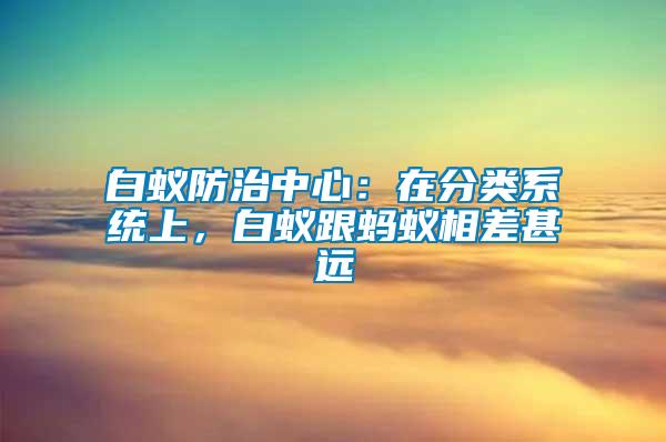 白蟻防治中心：在分類系統(tǒng)上，白蟻跟螞蟻相差甚遠(yuǎn)