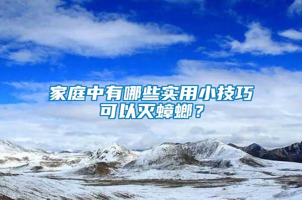 家庭中有哪些實(shí)用小技巧可以滅蟑螂？