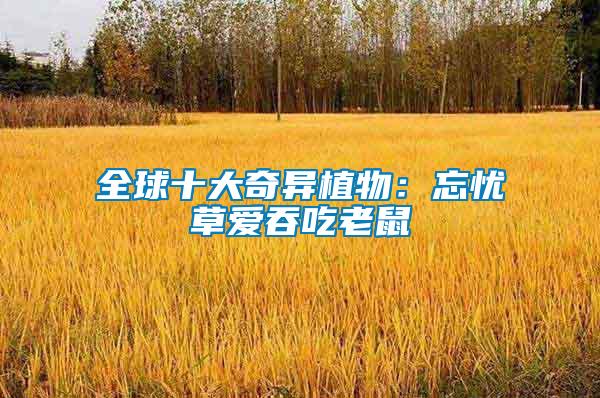 全球十大奇異植物：忘憂草愛(ài)吞吃老鼠