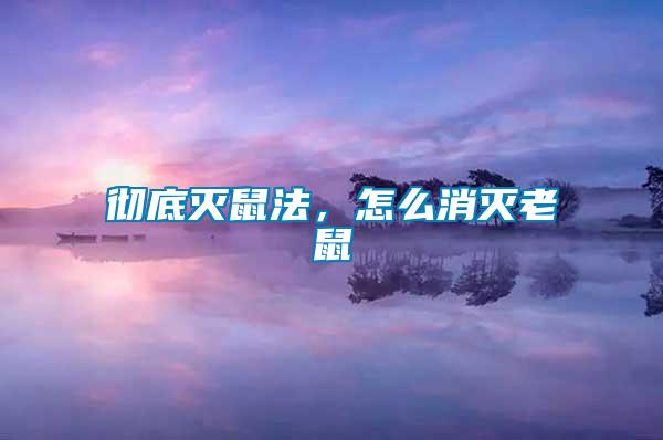徹底滅鼠法，怎么消滅老鼠