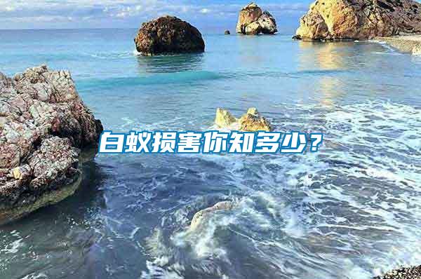 白蟻損害你知多少？