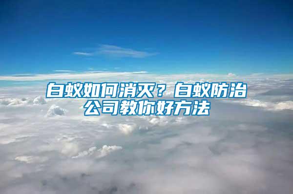 白蟻如何消滅？白蟻防治公司教你好方法