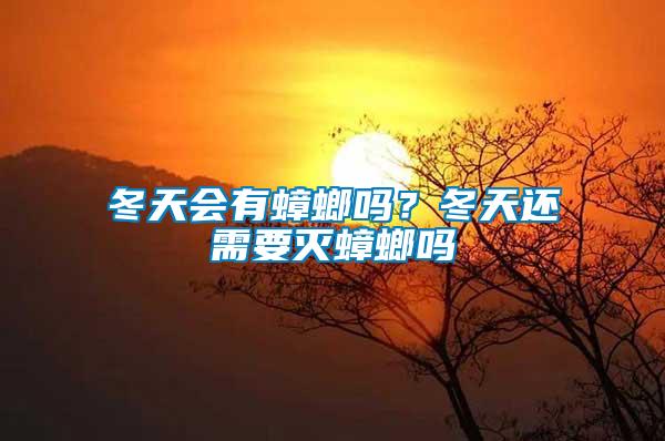 冬天會(huì)有蟑螂嗎？冬天還需要滅蟑螂嗎