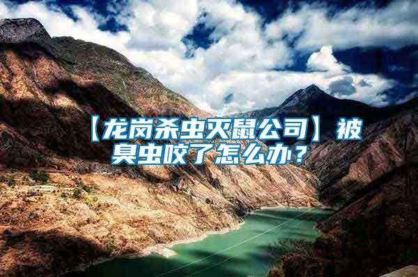 【龍崗殺蟲滅鼠公司】被臭蟲咬了怎么辦？