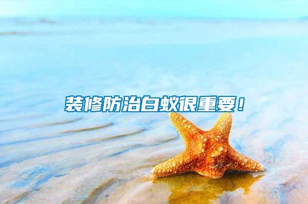 裝修防治白蟻很重要！