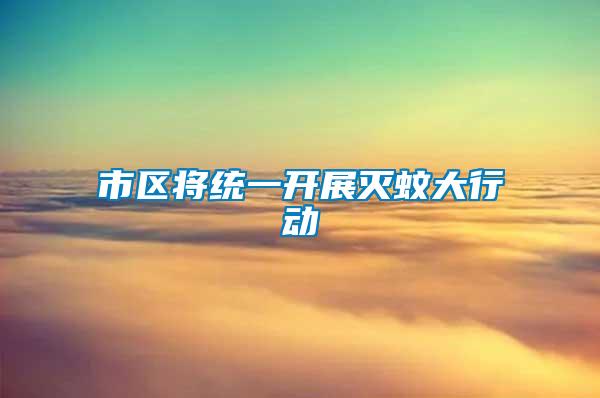 市區(qū)將統(tǒng)一開展滅蚊大行動