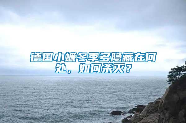 德國小蠊冬季多隱藏在何處，如何殺滅？
