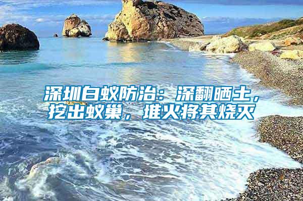 深圳白蟻防治：深翻曬土，挖出蟻巢，堆火將其燒滅