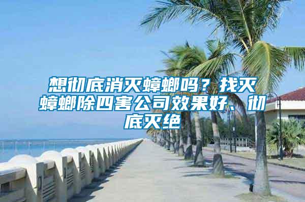 想徹底消滅蟑螂嗎？找滅蟑螂除四害公司效果好、徹底滅絕