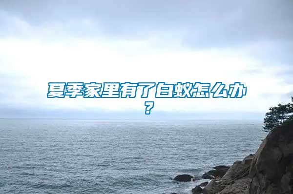 夏季家里有了白蟻怎么辦？