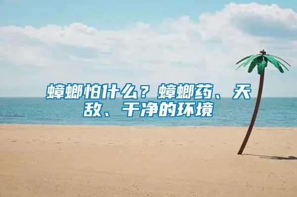 蟑螂怕什么？蟑螂藥、天敵、干凈的環(huán)境