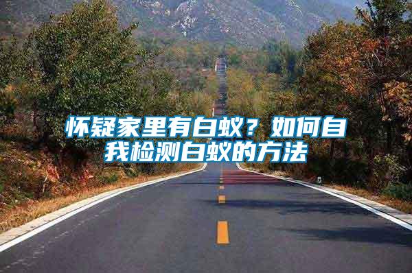 懷疑家里有白蟻？如何自我檢測(cè)白蟻的方法