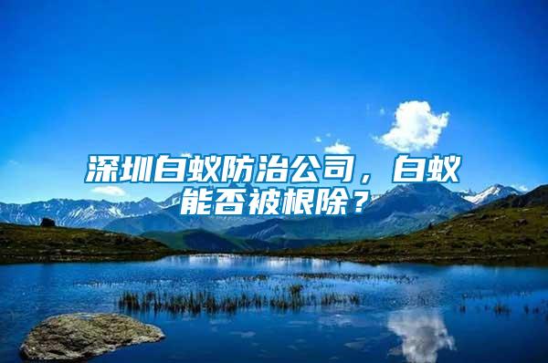 深圳白蟻防治公司，白蟻能否被根除？