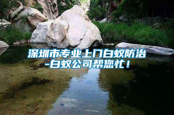 深圳市專(zhuān)業(yè)上門(mén)白蟻防治-白蟻公司幫您忙！