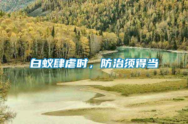 白蟻肆虐時，防治須得當(dāng)