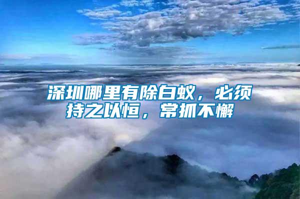 深圳哪里有除白蟻，必須持之以恒，常抓不懈