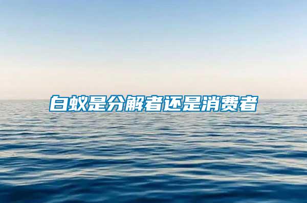 白蟻是分解者還是消費(fèi)者
