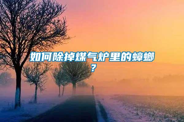 如何除掉煤氣爐里的蟑螂？