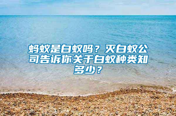 螞蟻是白蟻嗎？滅白蟻公司告訴你關(guān)于白蟻種類知多少？