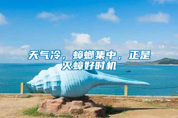 天氣冷，蟑螂集中，正是滅蟑好時機(jī)