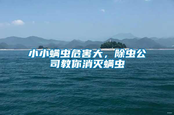 小小螨蟲危害大，除蟲公司教你消滅螨蟲