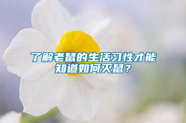 了解老鼠的生活習性才能知道如何滅鼠？