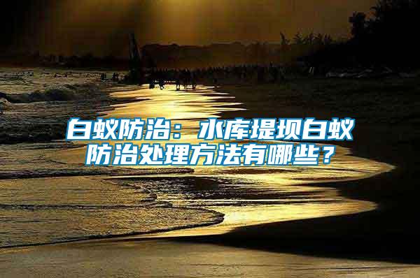 白蟻防治：水庫(kù)堤壩白蟻防治處理方法有哪些？
