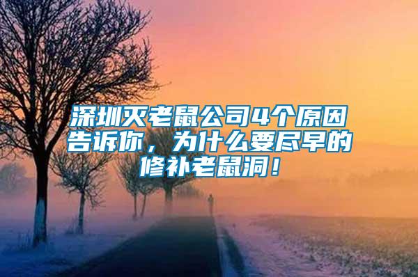 深圳滅老鼠公司4個(gè)原因告訴你，為什么要盡早的修補(bǔ)老鼠洞！